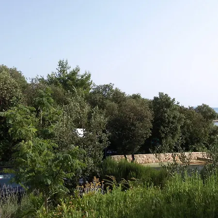 In - Insel 7453 Ugljan